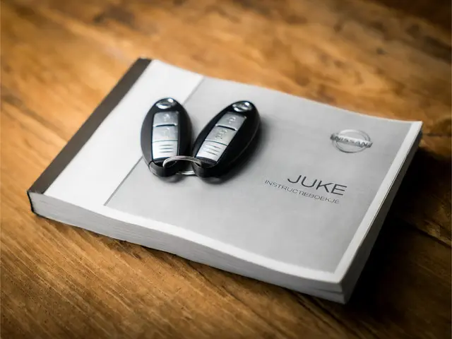 Nissan Juke 1.2 DIG-T S/S N-Connecta Sport 2018 Benzine 13