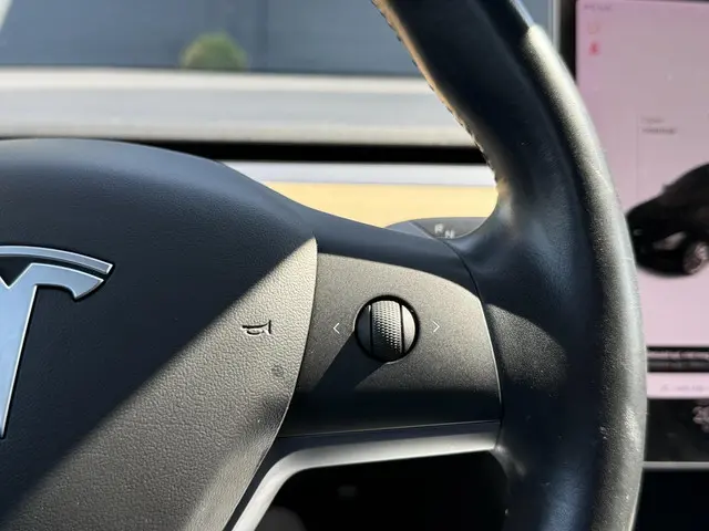 Tesla Model 3 Long Range AWD 75 kWh 2019 Elektrisch 23