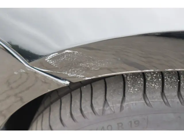 Tesla Model 3 Long Range AWD 75 kWh 2019 Elektrisch 22