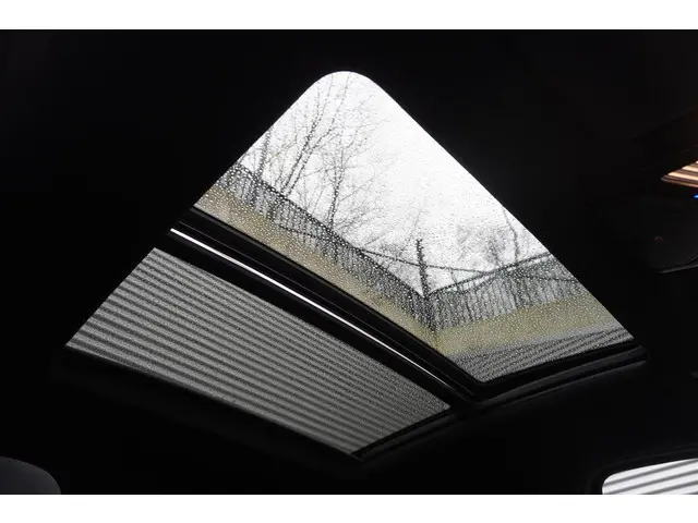 BMW X4 xDrive20i 2021 Benzine 12