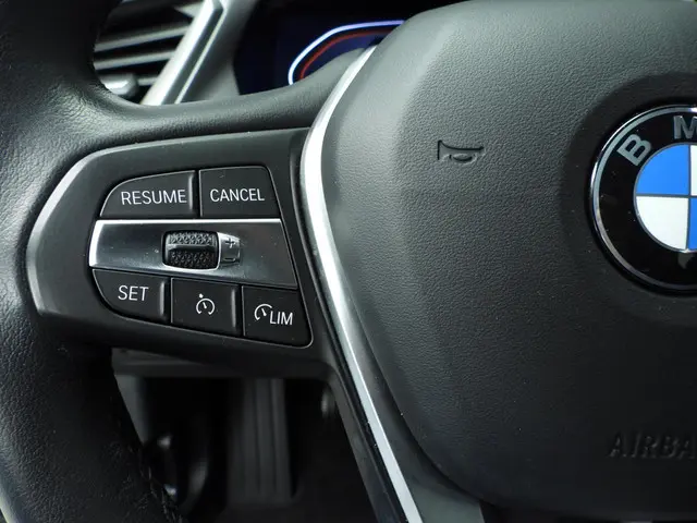 BMW 1 Serie 5-deurs 116i 2020 Benzine 13