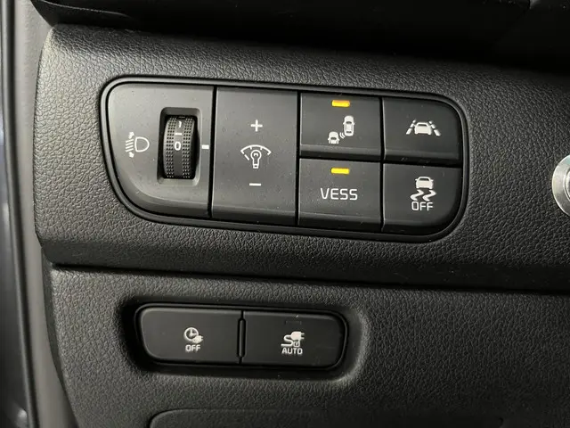 Kia e-Niro ExecutiveLine 64 kWh 2020 Elektrisch 41