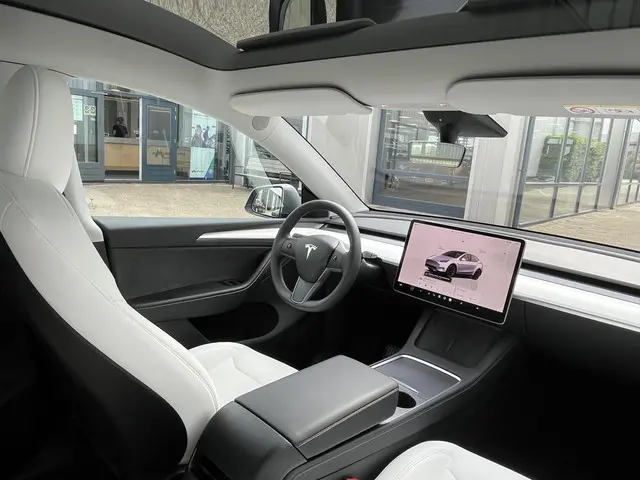 Tesla Model Y Long Range AWD 75 kWh 2023 Elektrisch 63
