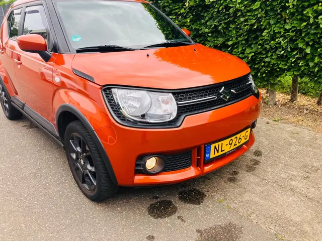 Suzuki Ignis 1.2 Select Intro 2017 Benzine 7