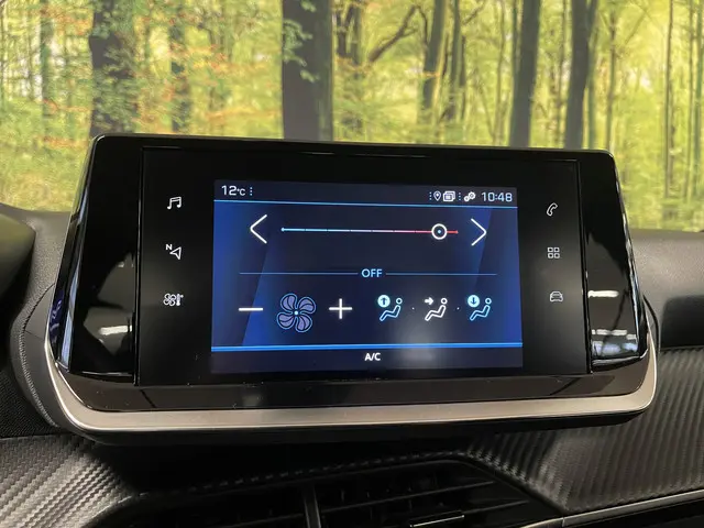 Peugeot 208 1.2 PureTech Active Pack 2021 Benzine 20