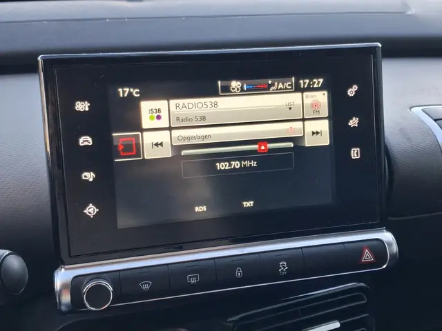 Citroën C4 Cactus 1.6 BlueHDi Feel 2015 Diesel 10