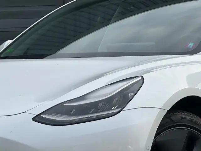 Tesla Model 3 Standard RWD Plus 60 kWh 2019 Elektrisch 4