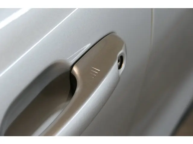 Ford Focus Wagon 1.0 EcoBoost 2020 Benzine 49