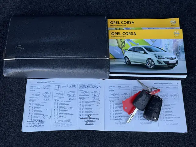 Opel Corsa 1.2 EcoFlex Cosmo LPG 2014 LPG/Gas 20