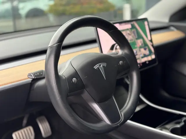 Tesla Model 3 Performance AWD 75 kWh 2019 Elektrisch 19