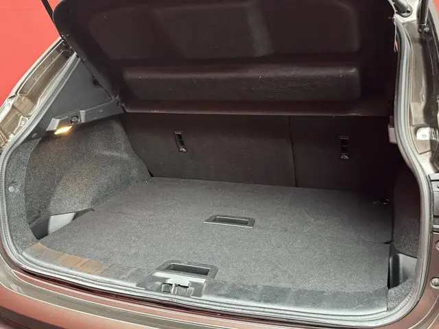 Nissan QASHQAI 1.2 Business Edition 2019 Benzine 15