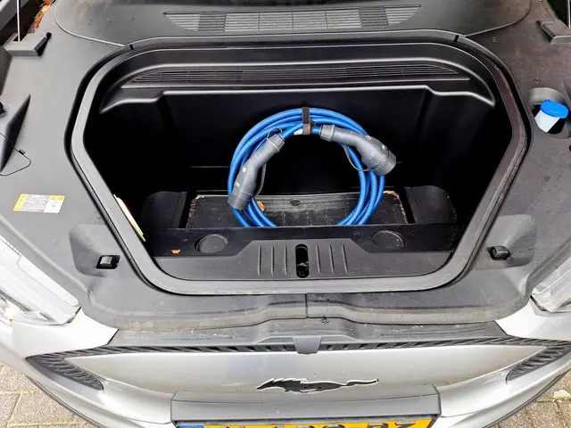 Ford Mustang Mach-E RWD 75 kWh 2021 Elektrisch 21