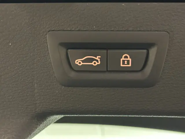 BMW X6 M 2018 Benzine 11