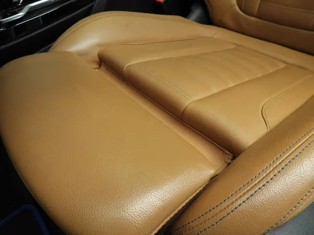 BMW X3 sDrive20i 2020 Benzine 21