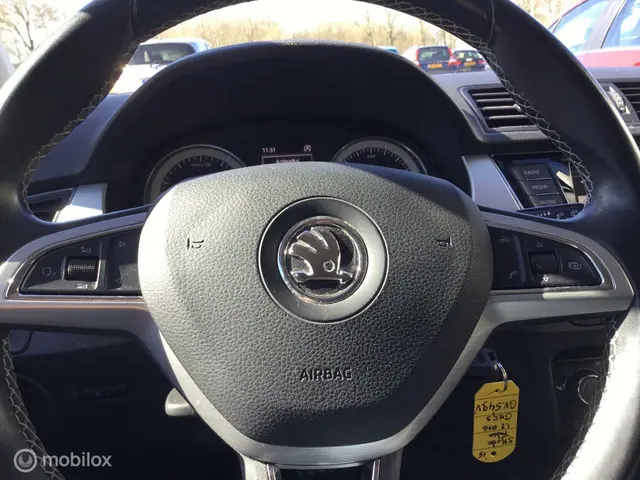 Škoda Fabia Combi 1.2 TSI Edition - Automaat 2015 Benzine 20
