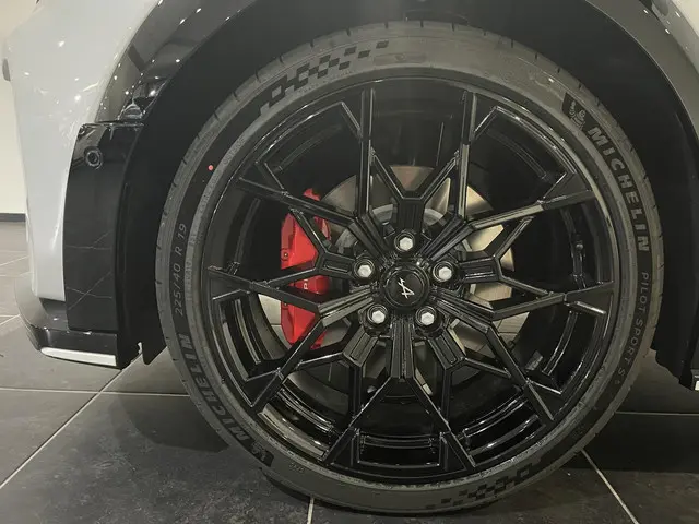 Alpine A290 GTS 52 kWh 2025 Elektrisch 23