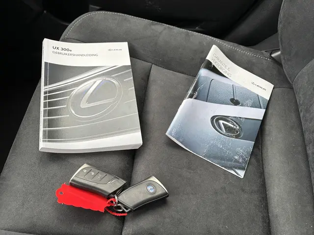 Lexus UX 300e Business 54 kWh 2020 Elektrisch 13