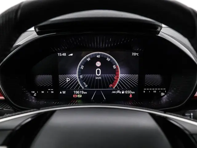 Škoda Fabia 1.0 TSI 115pk DSG Monte Carlo 2025 Benzine 16