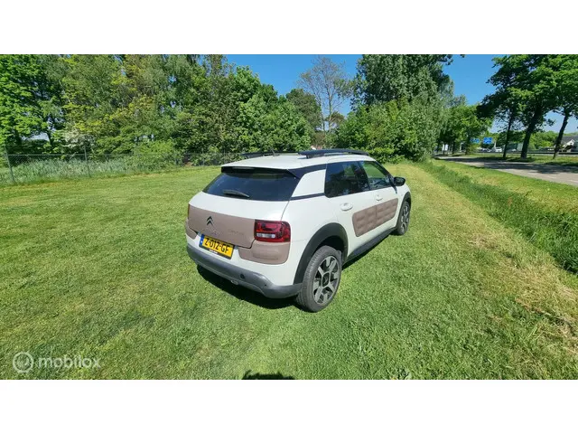 Citroën C4 Cactus 1.2 PureTech Business 2015 Benzine 4