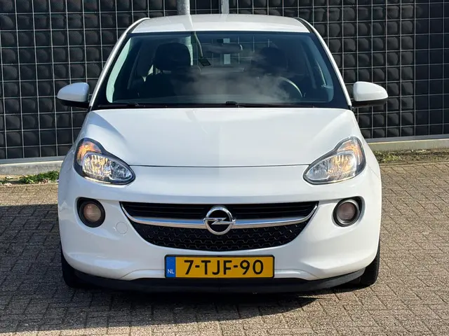 Opel ADAM 1.2 | 4cyl. | 2014 Benzine 8