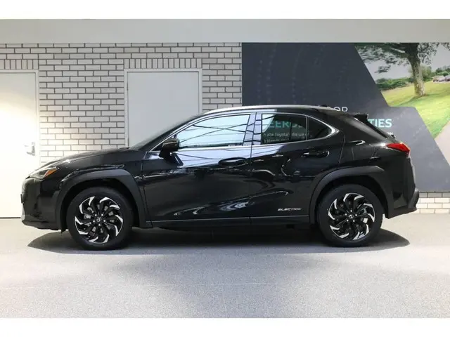 Lexus UX 300e Business Pro Pack Automaat 2020 Elektrisch 3