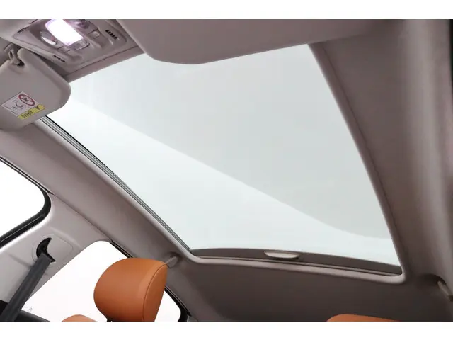 Citroën C3 1.2 PureTech S&S Shine zwart 2017 Benzine 25