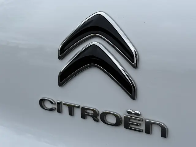 Citroën C3 1.2 PureTech S&S Feel 2019 Benzine 32