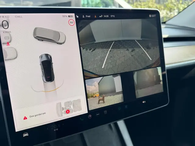 Tesla Model Y Long Range AWD 75 kWh 2021 Elektrisch 15