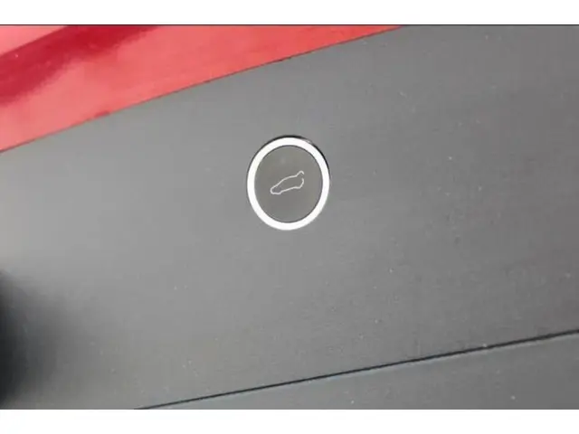 Tesla Model X Long Range 2019 Elektrisch 13