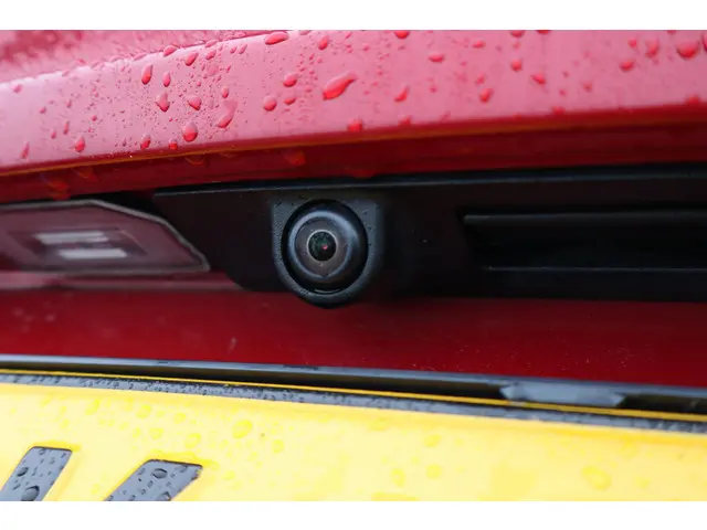 Tesla Model 3 Performance AWD 75 kWh 2019 Elektrisch 18