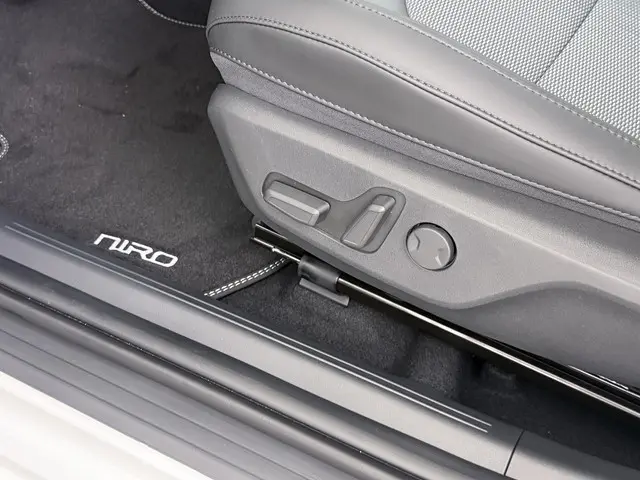 Kia Niro EV E-Niro Business 2025 Elektrisch 18