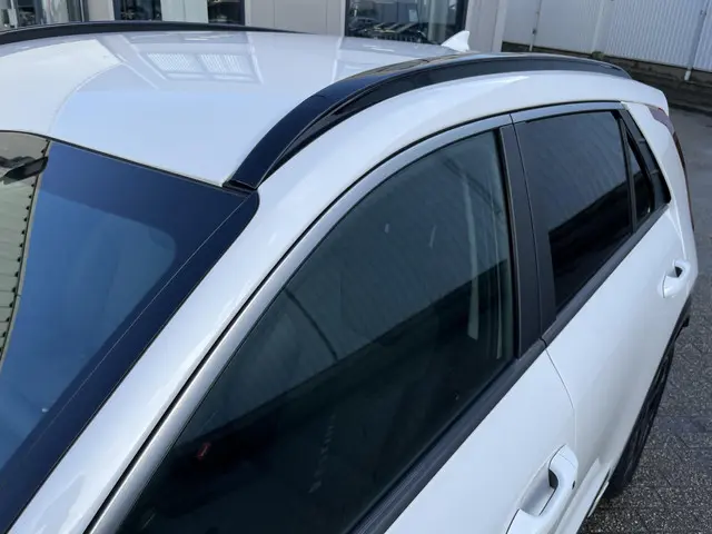 Kia Niro EV Edition 64.8 kWh 2023 Elektrisch 30