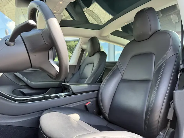 Tesla Model 3 Long Range AWD Dual 2019 Elektrisch 10