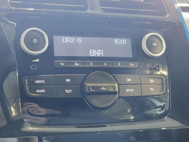 Dacia Spring Comfort 27 kWh 2022 Elektrisch 10