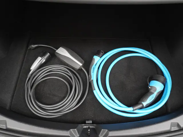 Tesla Model 3 Standard RWD Plus 60 kWh 2021 Elektrisch 11