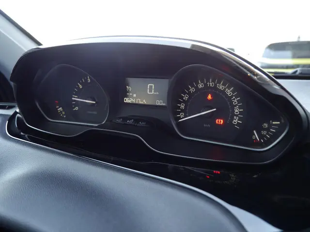 Peugeot 208 1.2 PureTech Blue Lion 2018 Benzine 15