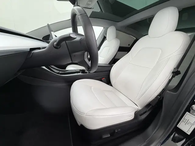 Tesla Model 3 Performance AWD 75 kWh 2019 Elektrisch 17