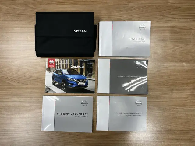 Nissan QASHQAI 1.2 Tekna 2018 Benzine 69