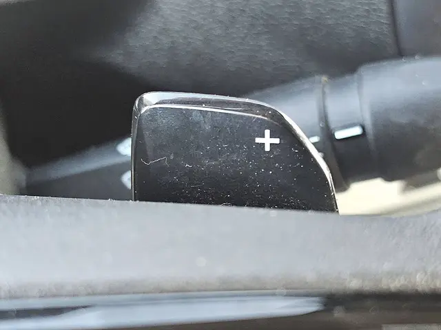 Fiat Scudo 2.0 2024 Diesel 11