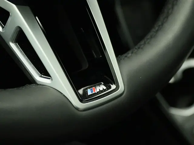BMW X1 xDrive25e 2024 Hybride Benzine 18