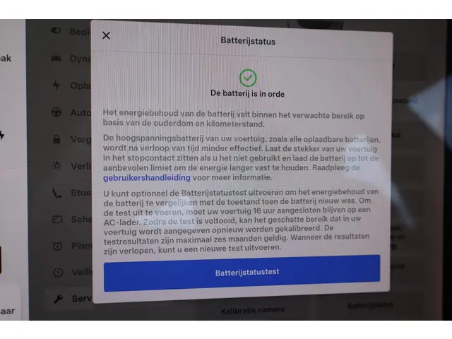 Tesla Model 3 Performance AWD 75 kWh 2019 Elektrisch 7