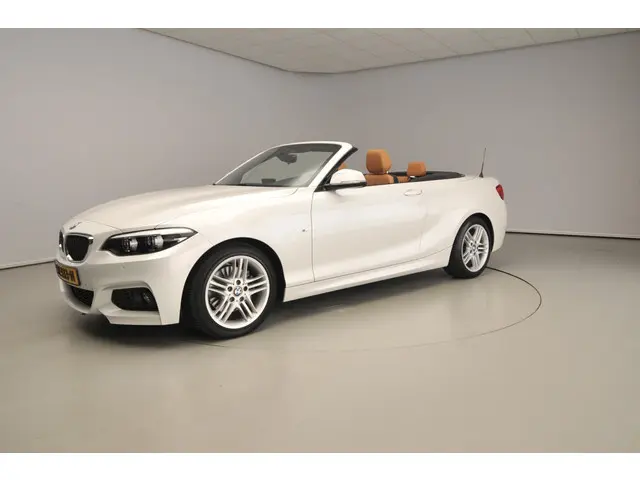 BMW 2 Serie Cabrio 220i 2018 Benzine 54