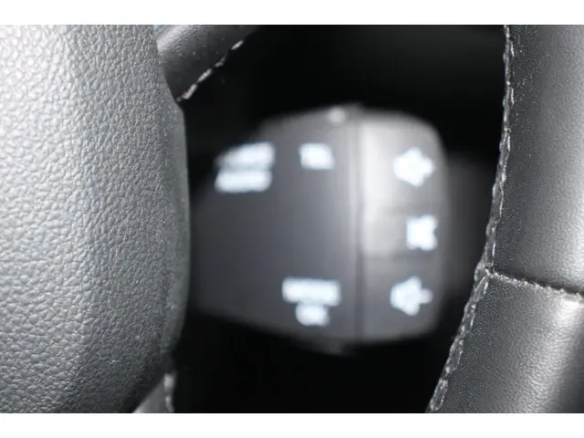 Renault Kadjar 1.3 TCe Intens 2019 Benzine 20