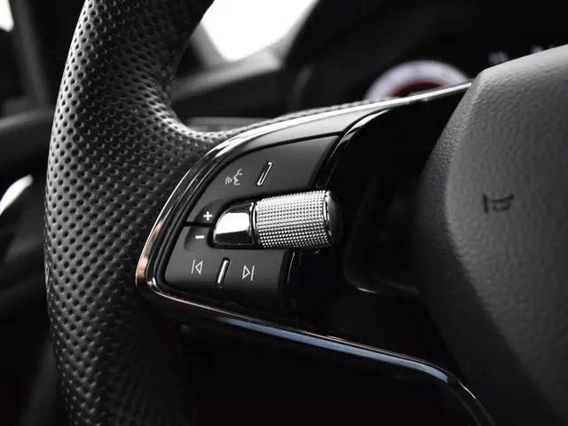 Škoda Kamiq 1.0 Tsi 110pk DSG Monte Carlo 2024 Benzine 10