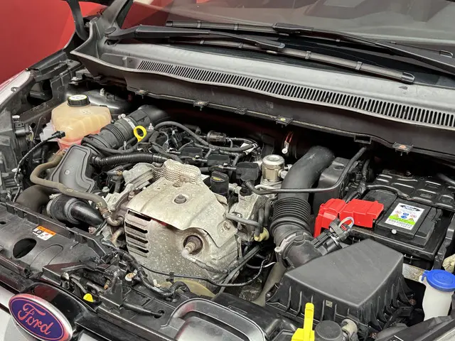 Ford B-MAX 1.0 EcoBoost Titanium 2018 Benzine 12