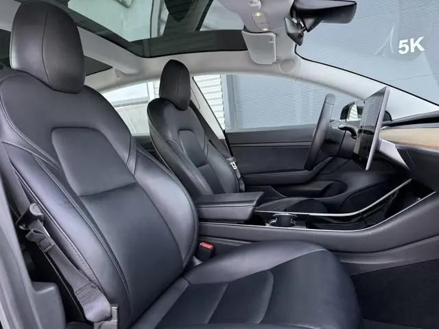 Tesla Model 3 Standard RWD Plus 60 kWh 2020 Elektrisch 23