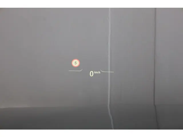 BMW Z4 Roadster sDrive30i 2019 Benzine 15