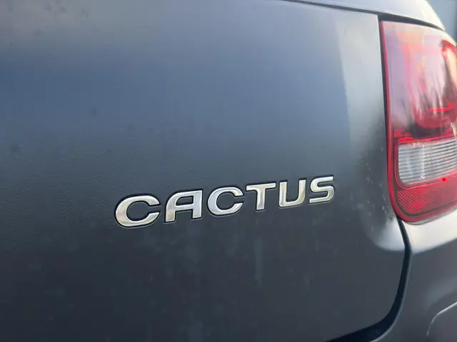 Citroën C4 Cactus 1.2 PureTech Business 2016 Benzine 39