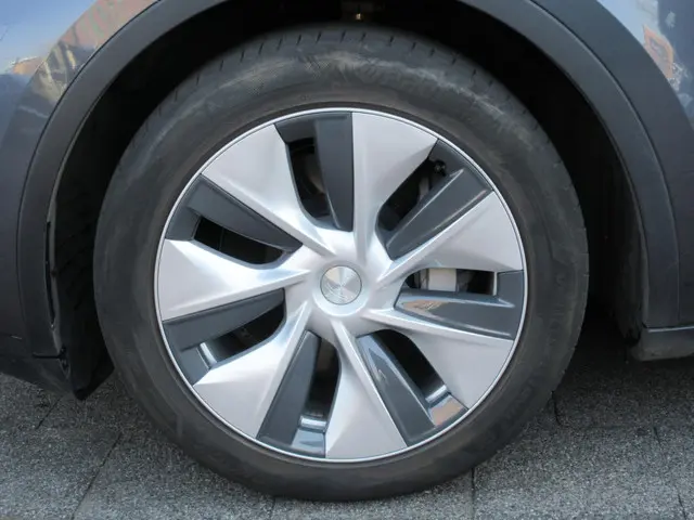 Tesla Model Y RWD 58 kWh 2023 Elektrisch 7