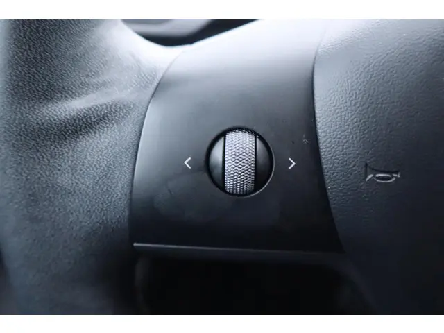 Tesla Model 3 Long Range AWD 75 kWh 2021 Elektrisch 25